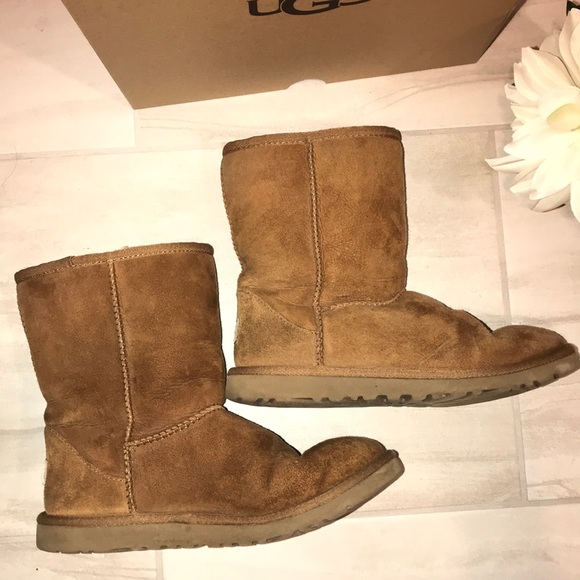 UGG Australia Chestnut Classic Short Boots - Picture 4 of 8